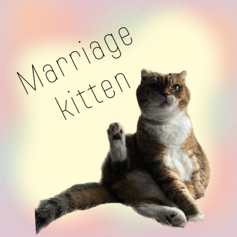 猫と結婚相談所：愛と絆を深める理由　パート2