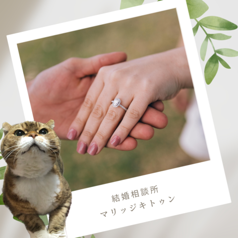 結婚と猫の共通点とは？パート４