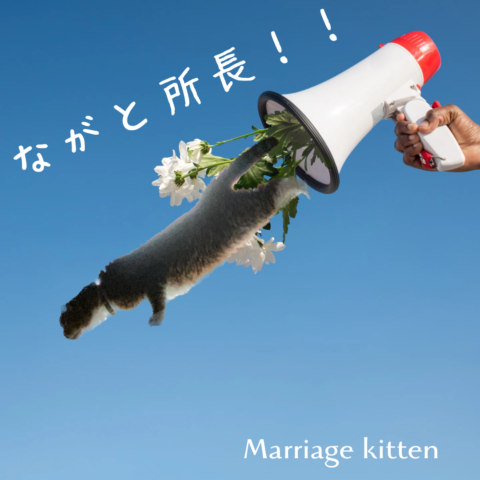 猫好きを婚活に活かす！